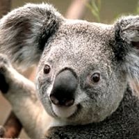 Jorge A.'s profile image