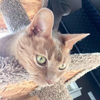 LAnn S.'s profile image