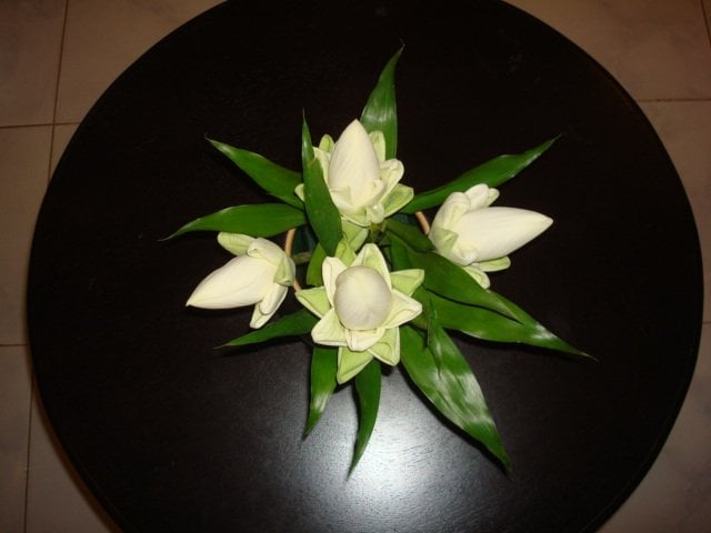 Diane S.'s profile image