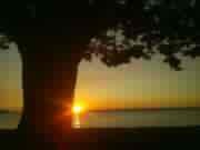 Adam G.'s profile image