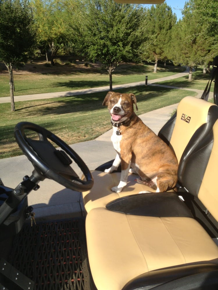 Gordy T.'s profile image