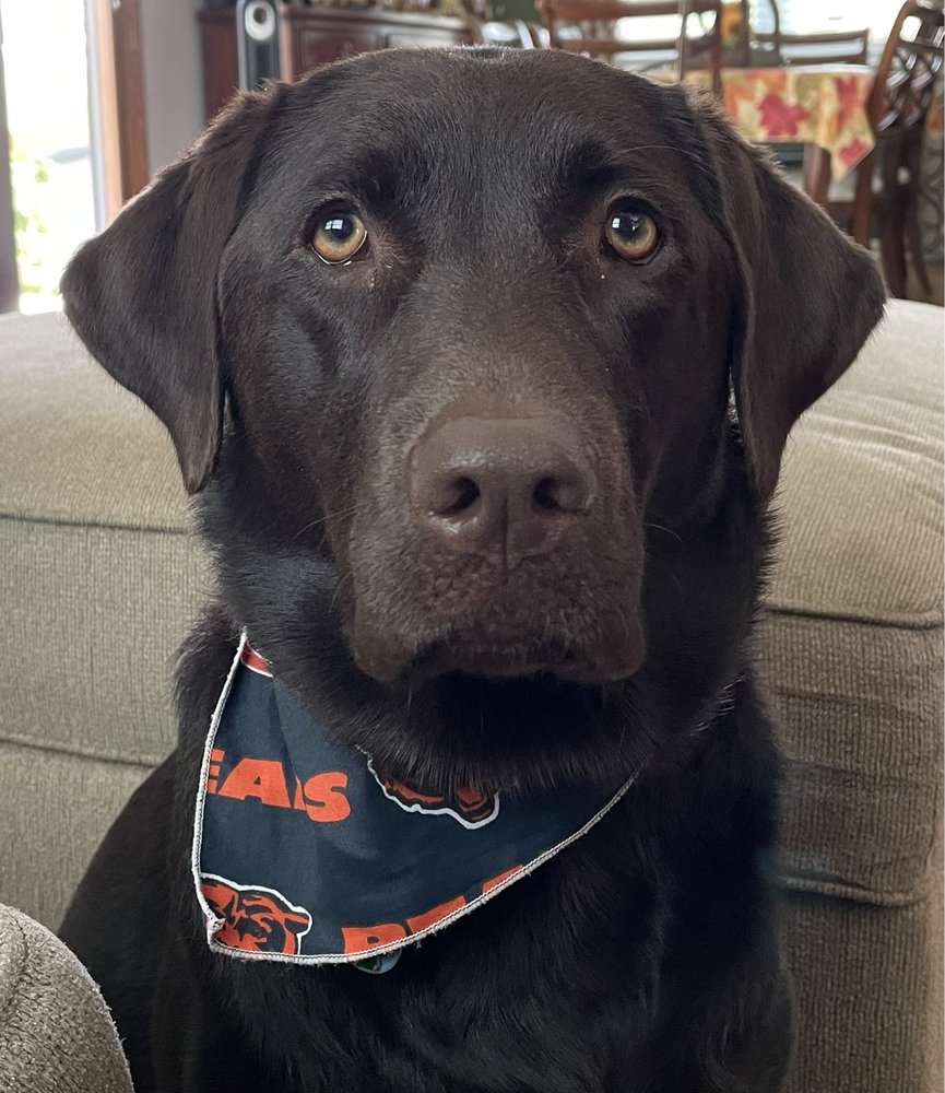 Bob V.'s profile image