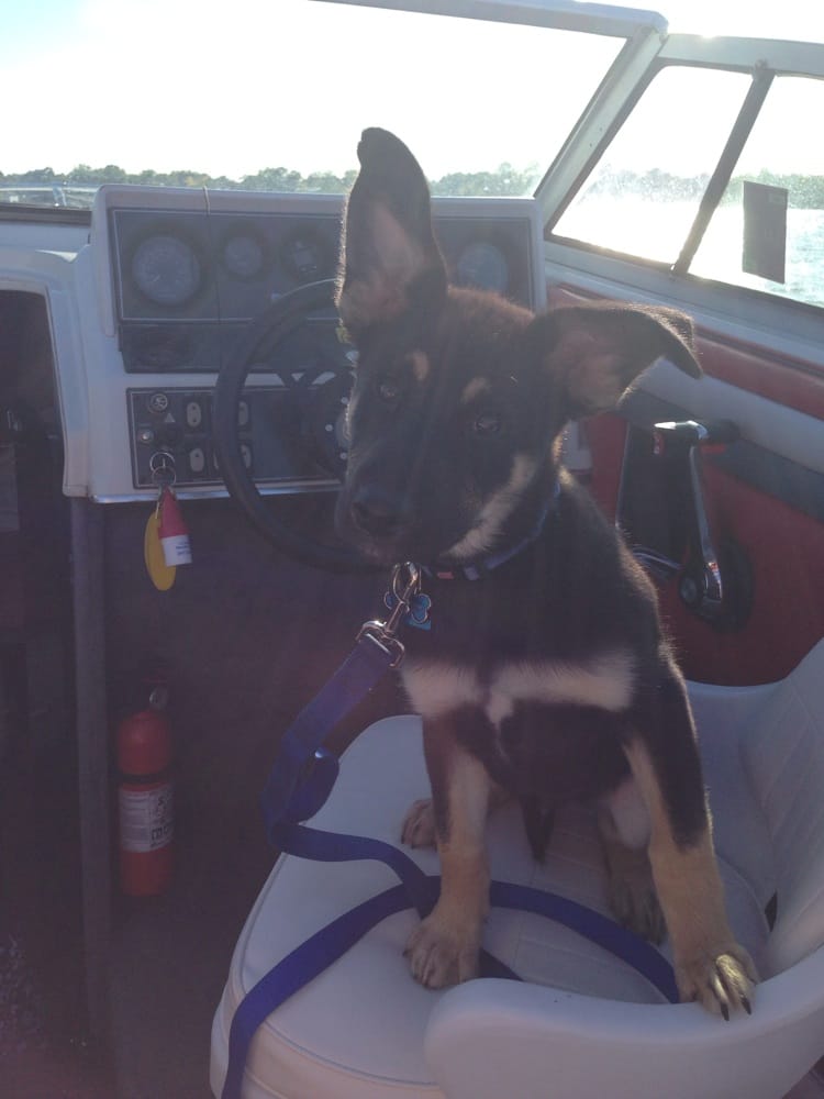 Ken K.'s profile image