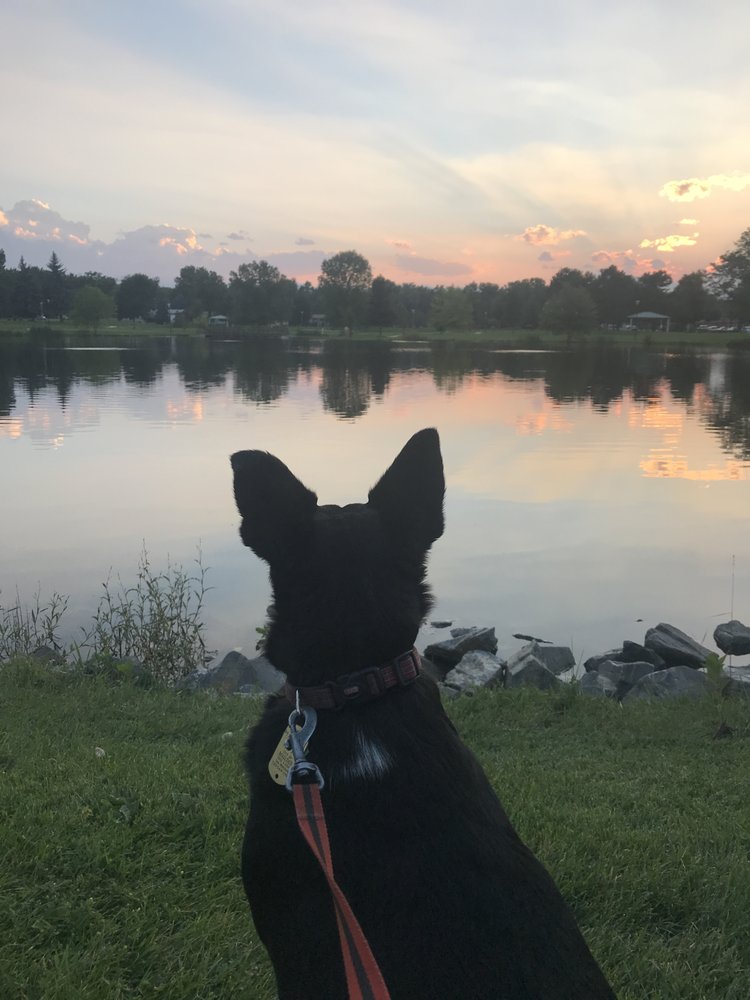 Jet A.'s profile image