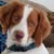 Cathy Stifflemire's profile image