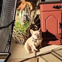 Kathy Mcclamroch's profile image