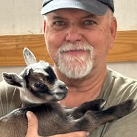 Lee Silvey's profile image