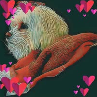 Pamela Watts Martinez's profile image