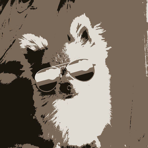 P. M.'s profile image