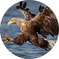 Andrew Rapp's Profile Image