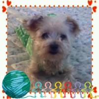 Kathy Seeley Whatley's profile image
