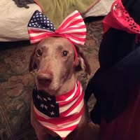 Marcia B. McDaniel's profile image