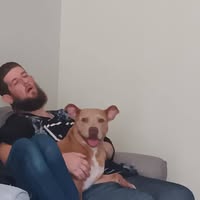 Shaun Gardner's profile image
