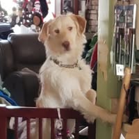 Kevin Burmeister's profile image
