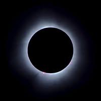 Chris Windisch's profile image