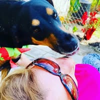 Missy Fish's profile image