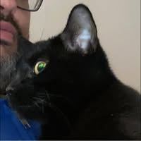 Adam Hauck's profile image