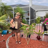 Norma Cadwell's profile image