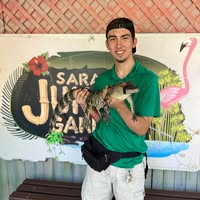 Aaron Sorbino's profile image