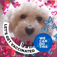 Heidemarie Burton's profile image