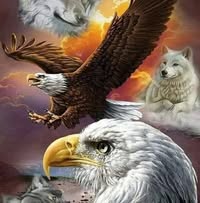Roberto Villegas Gomez's profile image