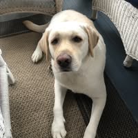 Grace Hood's profile image