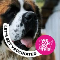 Mary Burnell's profile image