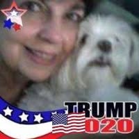 Diane Virgillo's profile image