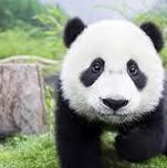 Vicki Tanzar's profile image