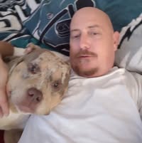 Dennis Bishop's profile image