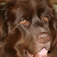 Carol Blazekovich's profile image