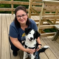 Corina Tarta's profile image