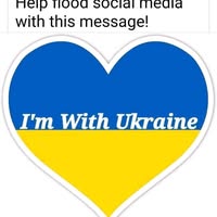 Roni Sirota- Levin's profile image