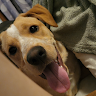 Kenneth K.'s profile image