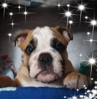 Nunley Kelly's profile image