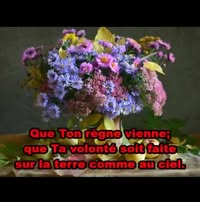 Sujanne Delone's profile image
