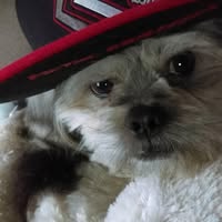 Ausencio Sanchez Rodriguez's profile image
