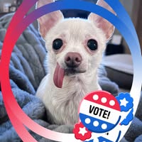 Sue Christensen's profile image