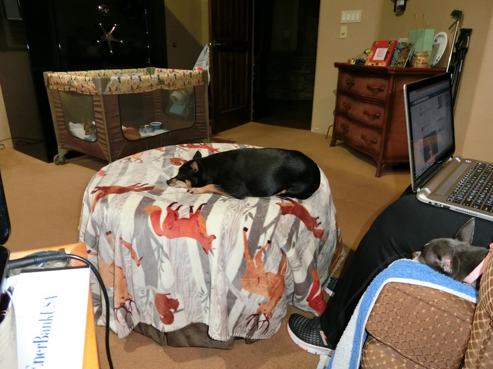 Larry E.'s profile image