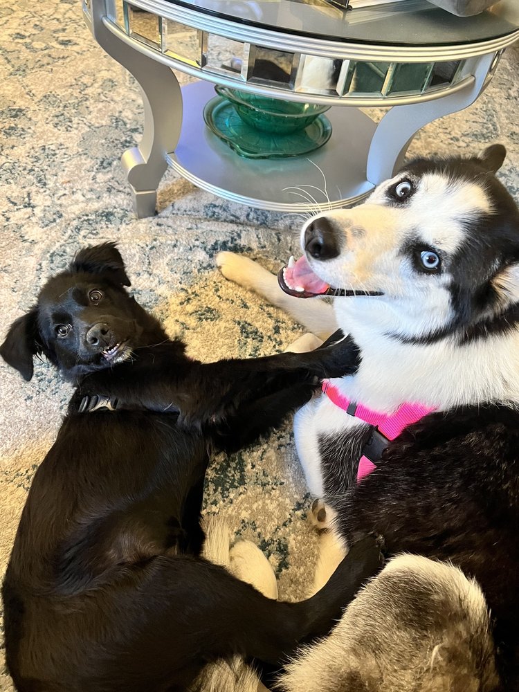 Kelly R.'s profile image