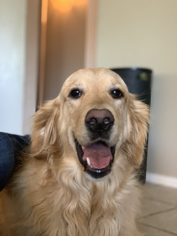 Patrick K.'s profile image