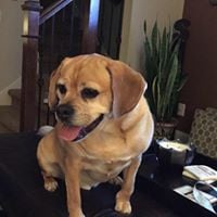 Shannon E.'s profile image