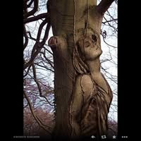 Beverly Schneider's profile image