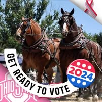 Teri Arnold's profile image