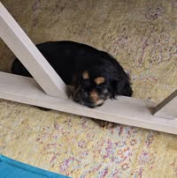 Amy Navrock's profile image