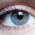 Diane Mastronardy's profile image
