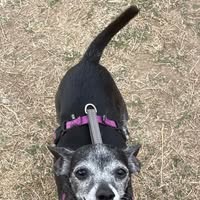 Deanna Bee's profile image