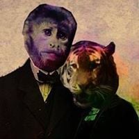 Amanda C.'s profile image