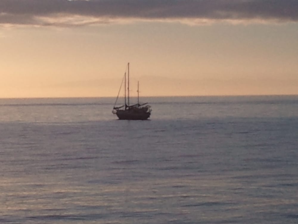 Shannon H.'s profile image