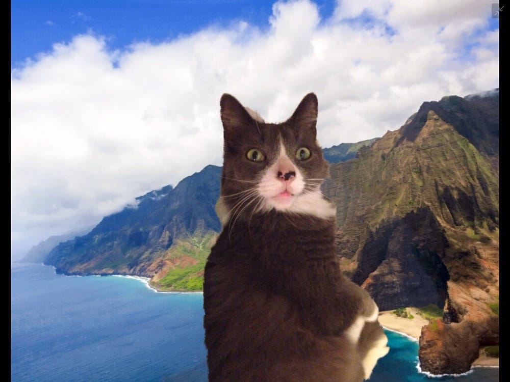 Reginald H.'s profile image